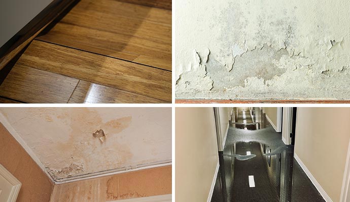 Collage of warped floor, peeling paint from wall, water damaged ceiling and carpet Collage of warped floor, peeling paint from wall, water damaged ceiling and carpet