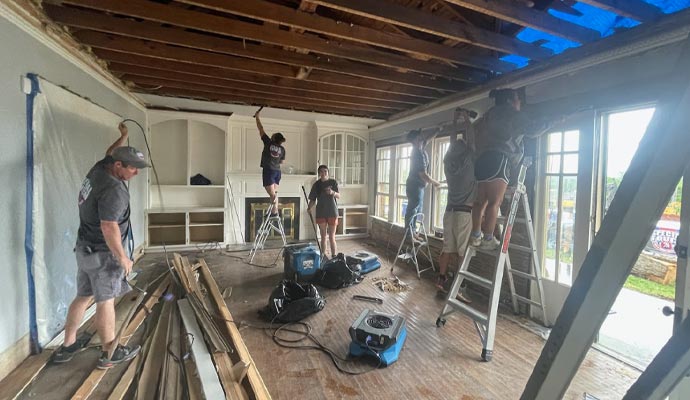 Professional reconstruction service Professional reconstruction service