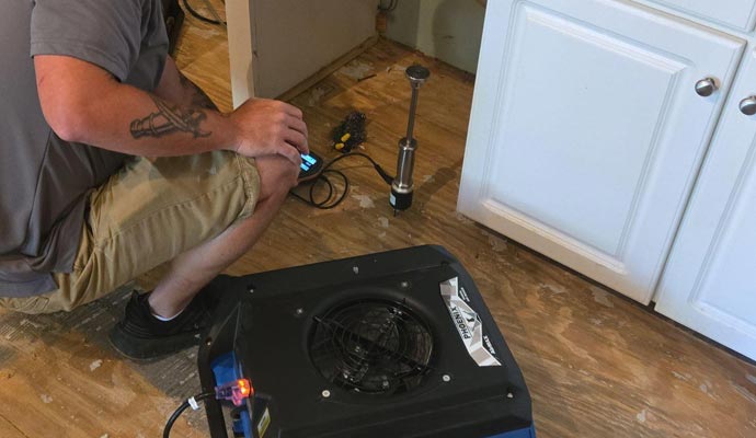 Technician assessing water damage Technician assessing water damage
