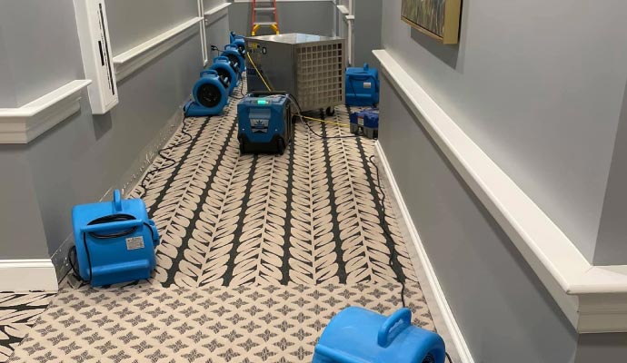 Water damage restoration using professional equipments