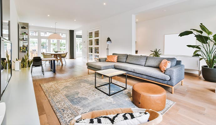 Fresh and clean air in living room Cozy living room with plants and clean surroundings representing a healthy indoor environment.