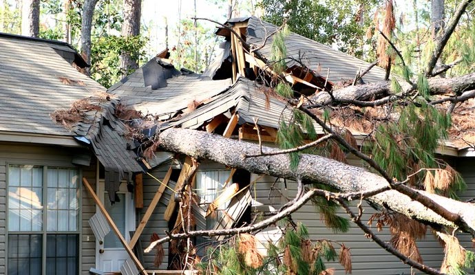 The house has been severely damaged by a fallen tree