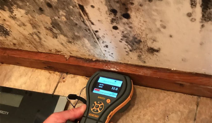 Mold inspection using moisture meter