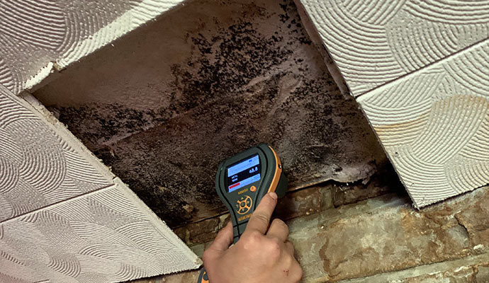 Mold Inspection with Moisture Meter