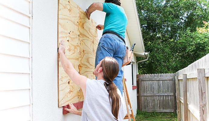 Expert installing board in window