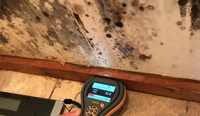 mold inspection with moisture meter