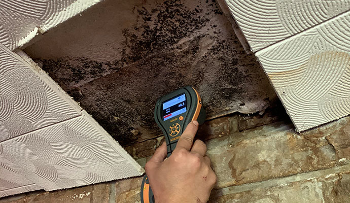 Growing black mold in the ceiling