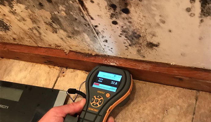 A person inspects a moldy wall with a moisture meter