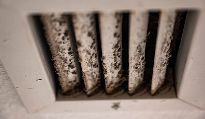 An air vent covered in black mold.