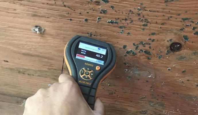 Professional worker testing mold