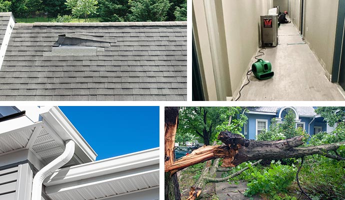 Collage images of roof, water, gutter and tree damage