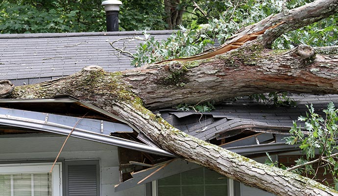 Storm damaged roof