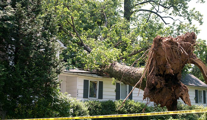 Wind damaged house