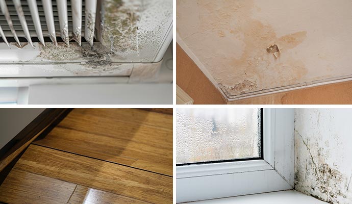 Collage of moldy vent, water damaged ceiling, buckled floor and moldy window corner Collage of moldy vent, water damaged ceiling, buckled floor and moldy window corner