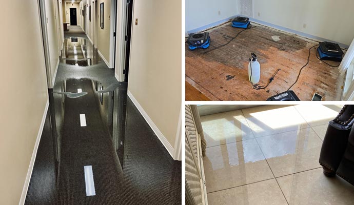 collage of different types of water damage