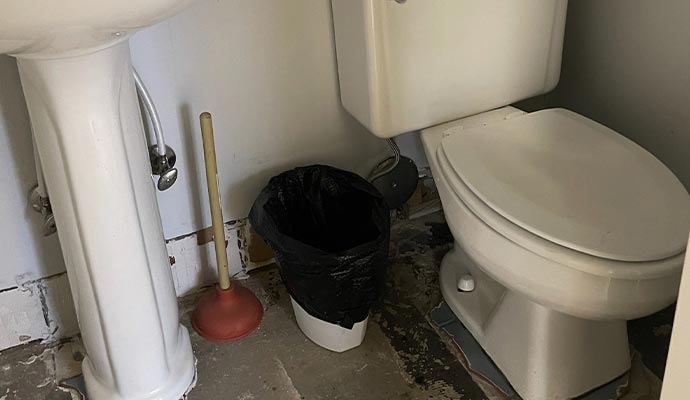 Old residential toilet with plunger Old residential toilet with plunger