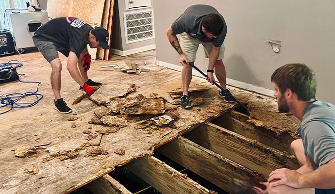 Professional restoration for structural damaged property Professional restoration for structural damaged property